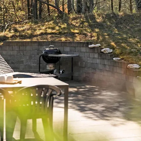 بيت للعطل 746-thisted-blamunkevej-36